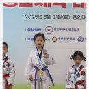 한국체대 신일태권도장 이미지