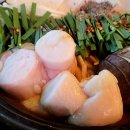 트랜디주 티스토리