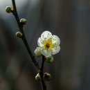 도화보건지소 이미지