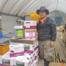 성유농장 이미지