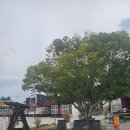 비토섬마린블루펜션 | 대구 3인가족 갯벌체험