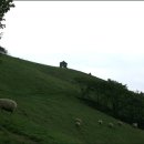 성화목장 이미지