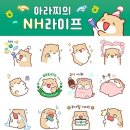 테라핀