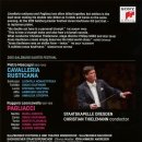 공모 제작 구군  연극 한여름밤의 꿈 | 베리스모 오페라 카발렐리아 루스티카나와 팔리아치