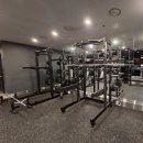 봄 휘트니스 | 강남역 헬스장 서초동 고급 머신 맛집 휴메이크휘트니스 강남점 재등록 후기