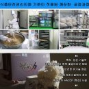 면역력 강화에 좋은 음식 꽃송이버섯 발효현미버섯 &#39;진효&#39; 효능