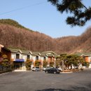 만인산 이미지