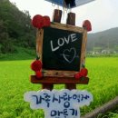 청풍한옥민박 이미지