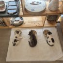 더초록공방