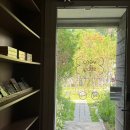 베로스테이 이미지