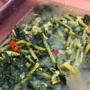 [👩🏻‍🍳 집밥 반찬 추천] 🏆 20년 전통 김치명가 청우식품 💛✨, 시원한 백열무물김치 후기❕(✅ 여름철 별미반찬)