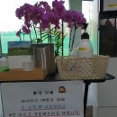 매월골프랜지 이미지