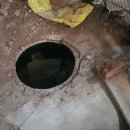 마라농장 이미지