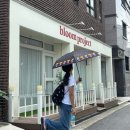 2n년 방구석 퍼컬 종결 | 서울 퍼스널컬러 블룸프로젝트 | 내돈내산 진.짜. 후기