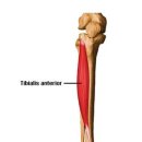 도수파워 이미지