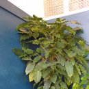 유왕별서 이미지