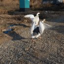 태평농장 이미지