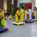 푸르미르 익스트림 태권도장 이미지