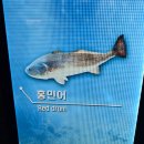 (주)힘난다버거 대구범어점 | 1. 매일매일이 문화가 있는 날인 삶(영화 <F1더무비>후기와 피크민 하는 이야기)