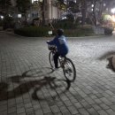 망미초등 | 부산 어린이 자전거 구입 삼천리 자전거 26 스팅거 SF 후기