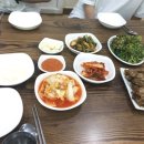 부광오리농장 이미지