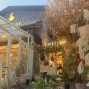 나는 홍대 상수 카페, 생화가 가득했던 '콜린(COLLINE)' 내돈내산 방문기 — 카페메뉴 및 소금빵 후기