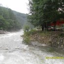 산바라기마을 이미지