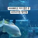 일중로L 네이버블로그