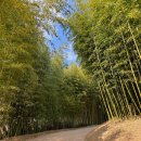 담양을 담다 이미지