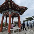 허궁다리 이미지