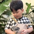 숲속에작은집 | 파주에서 흙놀이부터 요리 체험까지! 아이가 정말 즐거워했던 숲속작은집 후기