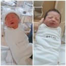 유전천 | 제왕절개_수면마취 없이 긴급수술(수술전 알면 좋은 정보들!!!)