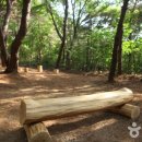 국립천관산자연휴양림 Daum카페