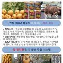 구학농장 | 배즙판매합니다. 배즙, 도라지, 하수오의 효능.