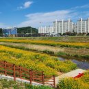 아름다운마을 이미지