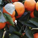 김정현 농장 이미지