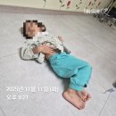 씨유 정읍2산단점 | 정읍아산병원 소아병동 입원후기