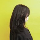 수진2호 이미지