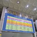 뉴 월드프라자 이미지