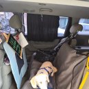 푸른하늘동물병원 이미지