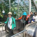 매봉산1 이미지