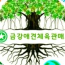 인천금강복싱체육관 이미지