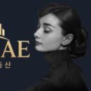 봉선공인중개사사무소 이미지