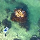 씨워드하우스 이미지