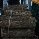 [자연산]옻나무,벌나무피,엄나무,토봉령,충령,유근피외 판매 이미지
