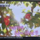 서가네식당 이미지