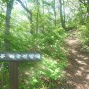 화란봉 하늘전망대 이미지