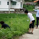 고래실길 이미지