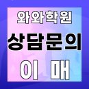이매 와와센터 후기
