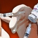 대곶면행정복지센터 이미지